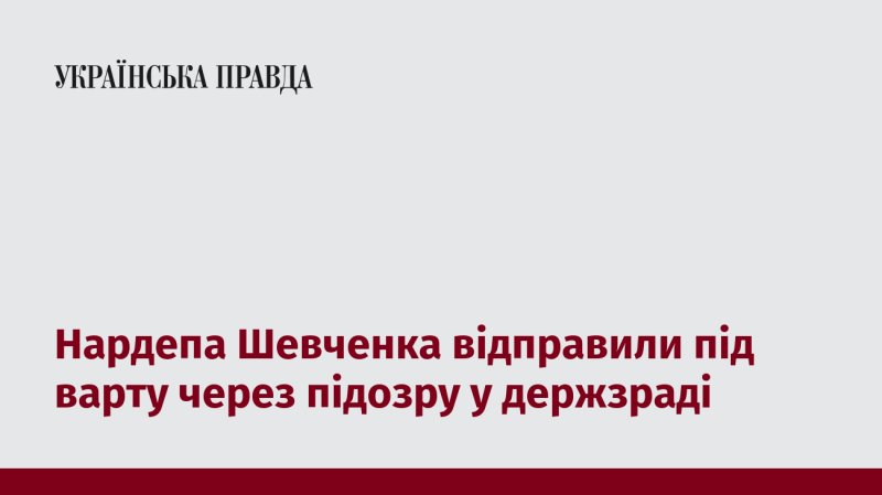 Нардепа Шевченка заарештували в рамках розслідування справи про державну зраду.